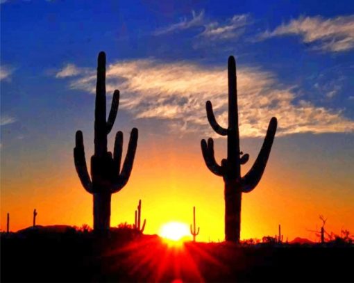 cactus sunrise adult paint by numbers