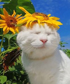 Cat With Sun Flowers paint by number