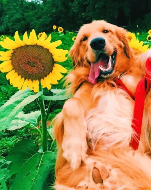 Cute Dog paint by number