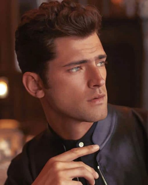 Handsome Sean O pry Paint By Numbers