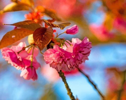 Japanese Cherry Blossom paint by numbers