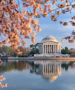 Jefferson Memorial Washington paint by number