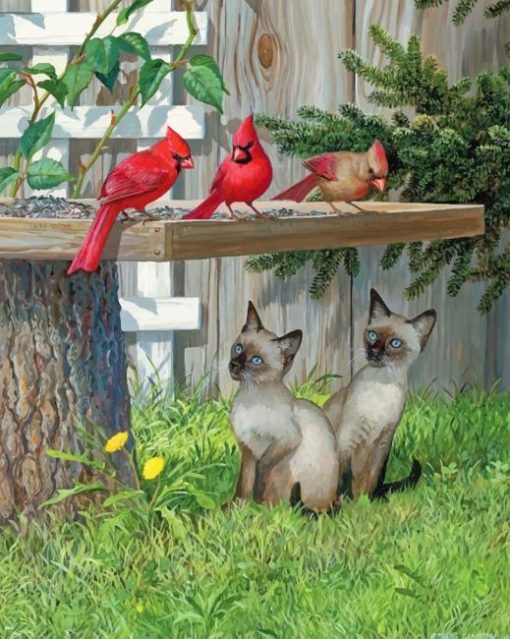 Kittens And red BirdsPaint By Numbers