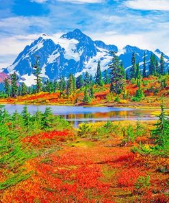 Mount Baker Washington paint by number