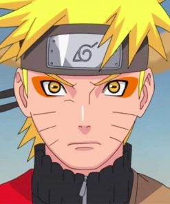 Naruto Mode Sennin Drawing apint by numbers