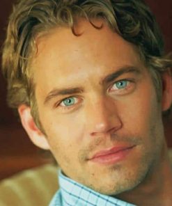 Paul Walker American Actor Paint By Numbers