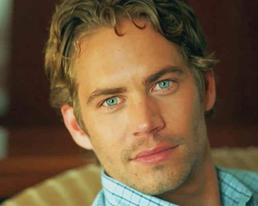 Paul Walker American Actor Paint By Numbers