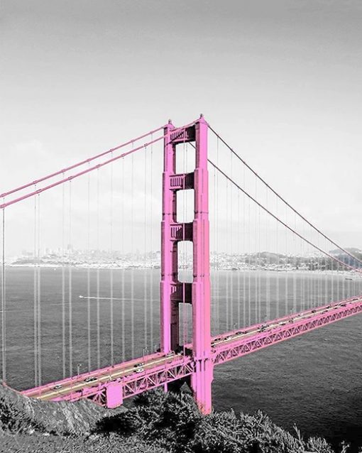 pink Golden Gate bridge paint by numbers