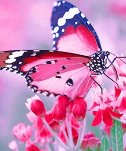 Pink Butterfly paint by numbers