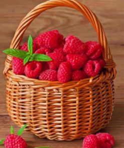 raspberries fruit in basket adult paint by number