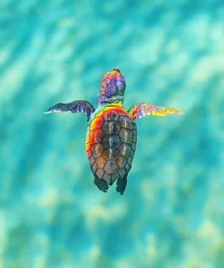 Sea Turtle Rainbow paint By Numbers