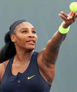 Serena Williams Tennis Player Paint By Numbers