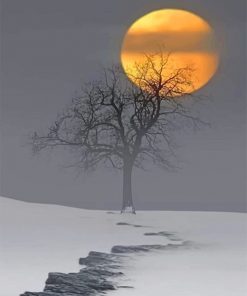 Snow Moon paint by numbers