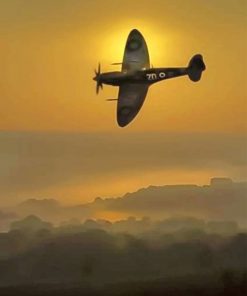 Spitfire Sunset paint by number