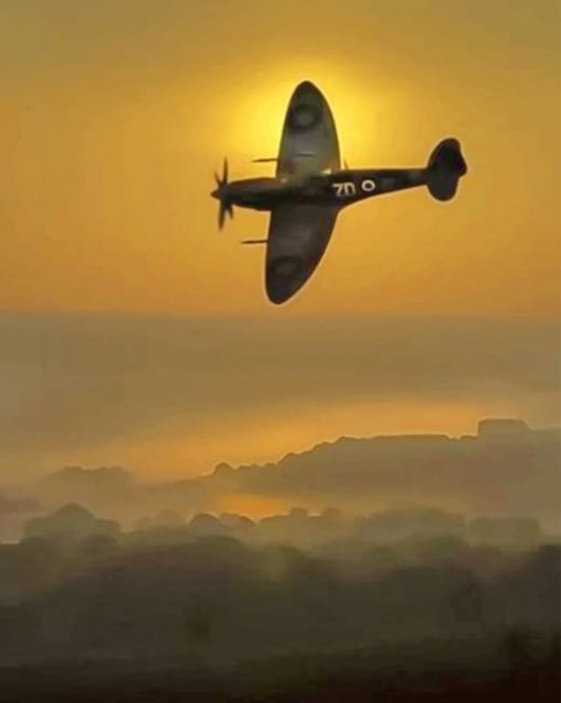 Spitfire Sunset paint by number