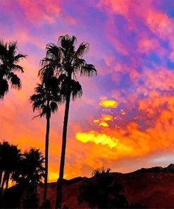 Sunset Palm Spring paint by number