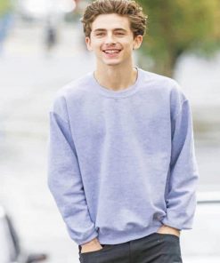 Timothée Chalamet wearing Grey paint By Numbers