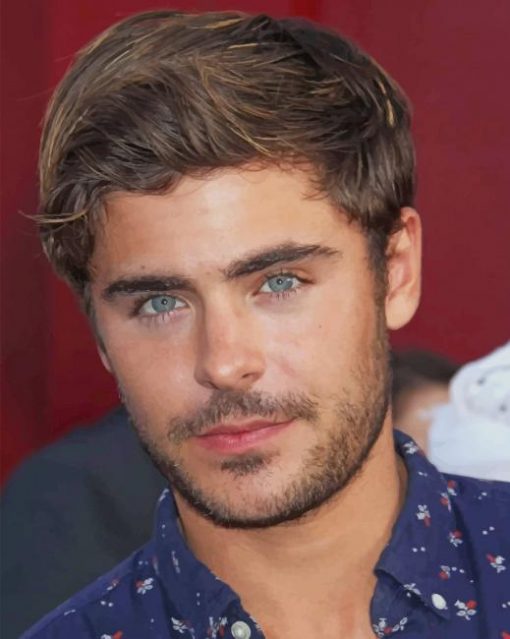 Zac Efron Green Eyes Paint By Numbers