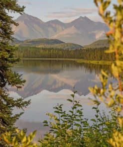 Alaska's Nature paint by numbers