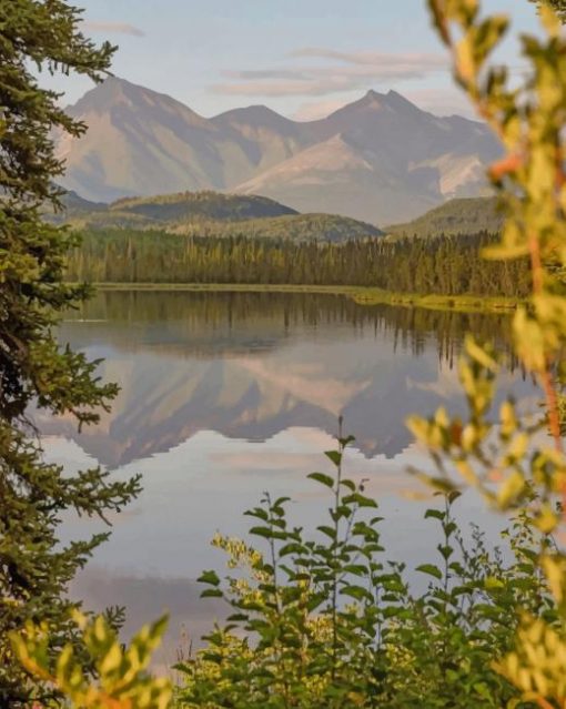 Alaska's Nature paint by numbers