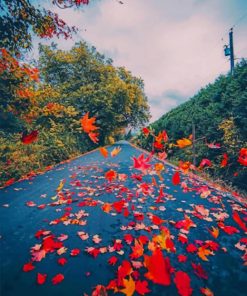 Autumn Leaves paint by numbers