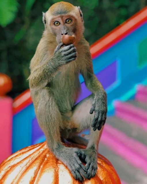 Brown Monkey On Orange Pumpkin paint by numbers