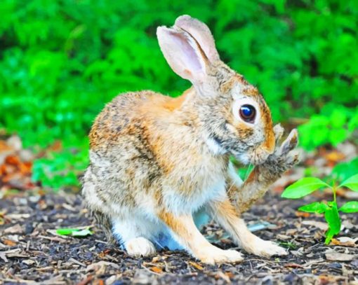 Brown Rabbit Near Green Leafed paint by numbers