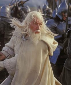 Gandalf The White paint by numbers