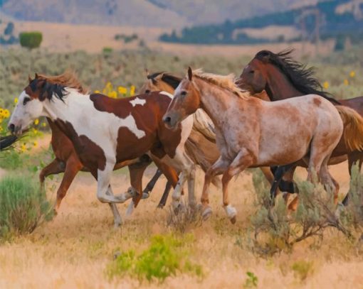 Running Horses paint by numbers