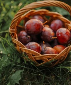 Red Round Fruits In Brown Woven Basket paint by numbers