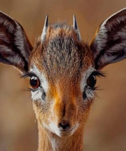 Smiling Antelope Animal paint by numbers