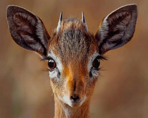 Smiling Antelope Animal paint by numbers