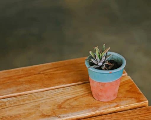 Succulent In Blue And Brown Pot paint by numbers