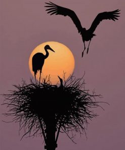 Birds Silhouette paint by numbers