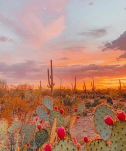 Cactus Desert Aesthetic paint by numbers