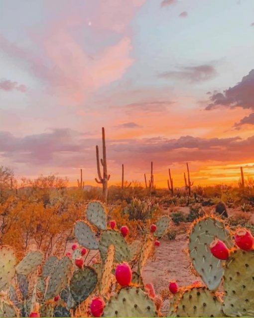 Cactus Desert Aesthetic paint by numbers