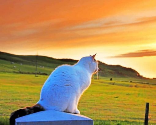 Cat Observing The Nature Beauty paint by numbers