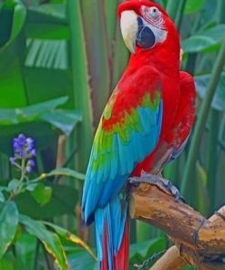 Macaw Parrot On Tree paint by numbers