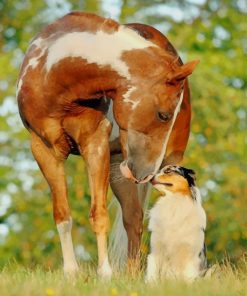 Horse With Dog paint by numbers