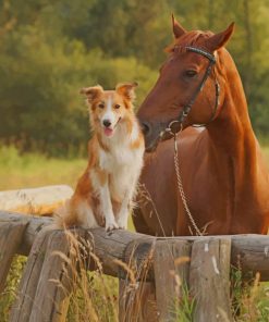 Dog And Horse paint by numbers