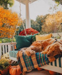 Golden Retriever On A Porch Swing paint by numbers