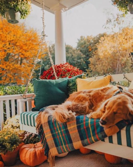 Golden Retriever On A Porch Swing paint by numbers