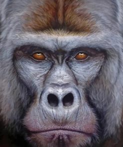 Gorilla Portrait paint by numbers