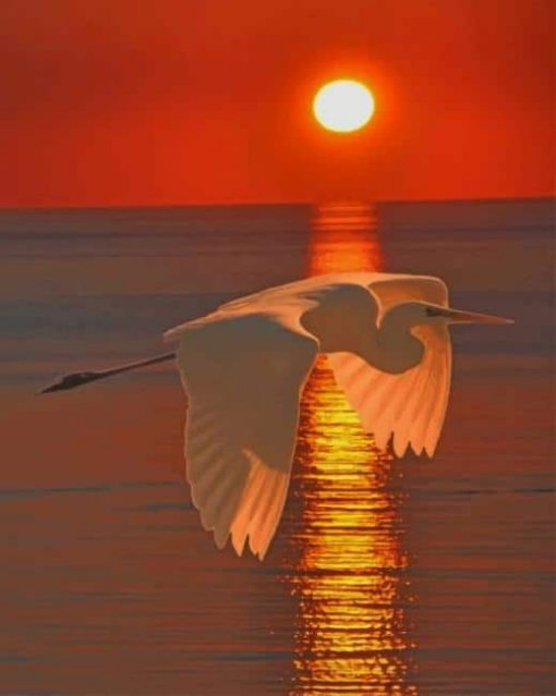 Great Egret Sunset paint by numbers