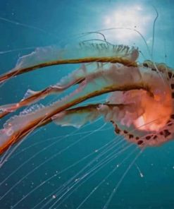 Jellyfish Large Tail paint by numbers