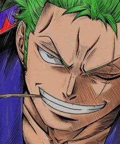 One Piece Zoro paint by numbers