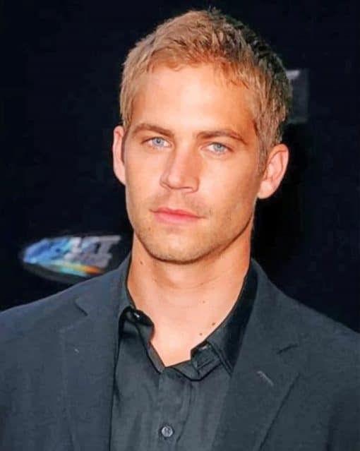 Paul Walker Actor paint by numbers