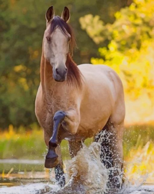 Golden Horse paint by numbers