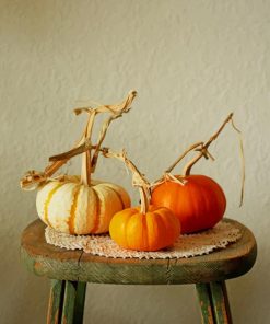 Pumpkin Decoration paint by numbers