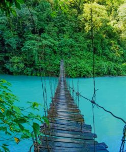 Wooden Bridge Hawaii paint by numbers